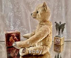 14 Antique 1908 Bing Teddy Bear, Loved Treasure In Finely Made Military Jacket