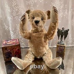 14 Antique 1908 Bing Teddy Bear, Loved Treasure In Finely Made Military Jacket