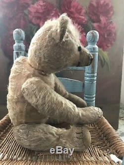 14 Early mohair teddy bear in antique Raggedy Andy outfit