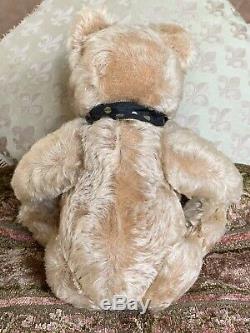 14 Light Tan Steiff Mohair Teddy Bear c. 1950s - Crazy Sale Price