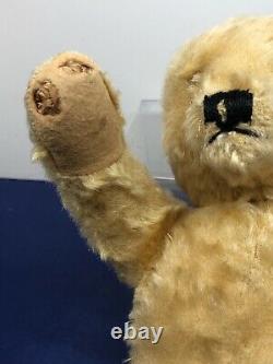 14 Vintage Steiff Teddy Bear Golden Yellow Mohair 1950s Jointed Teddy #U