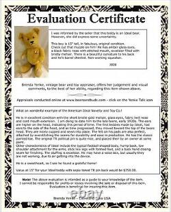 15ANTIQUE (1915-20s) IDEAL TEDDY BEAR EXCELLENT ORIGINAL CONDITION