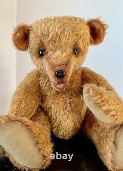 15 MOHAIR ARTIST TEDDY BEAR-'BENNY' by LOUISA SHAW of BUTTERFLY BEARS OOAK