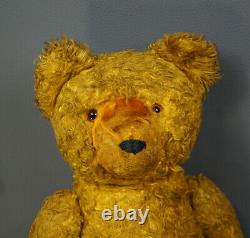 17Antique German Straw-stuffed Gold Mohair Teddy Bear Jointed Toy withGrowler