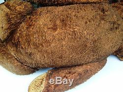 1900's 29 tall ANTIQUE BROWN TOY MOHAIR HUGE EARLY TEDDY BEAR HUMP GLASS EYES