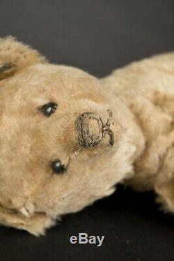 1906 Steiff Teddy Bear, Blank Ear Button, Excelsior Stuffing, Blond Mohair