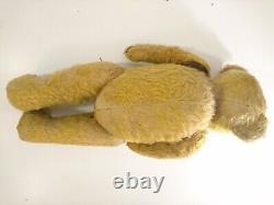 1920s Antique German Humpback Mohair Teddy Bear, Fully Jointed