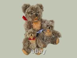 1950's Steiff Zotty Mohair Teddy Bear Family Lot of 3 with ID 20, 11, 10