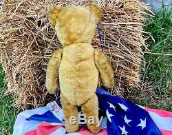 19 ANTIQUE EARLY AMERICAN 1910s MOHAIR TEDDY BEAR, BOOT BUTTON EYES, EXCELSIOR