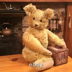 19 RARE EARLY 1920s ANTIQUE FRENCH TOY & NOVELTY CO. TEDDY BEAR