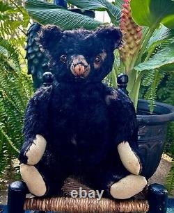 20 ANTIQUE 1920s FIRST KNICKERBOCKER STUNNING BLACK MOHAIR TEDDY BEAR