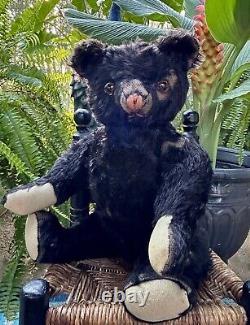 20 ANTIQUE 1920s FIRST KNICKERBOCKER STUNNING BLACK MOHAIR TEDDY BEAR