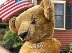 21 Early American Antique 1912- 1914 Ideal Teddy Bear