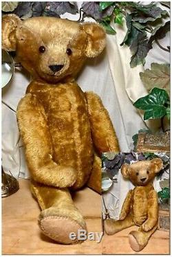 21 Large American, Pre-wwi 1912- 1914 Treasured Antique Ideal Teddy Bear