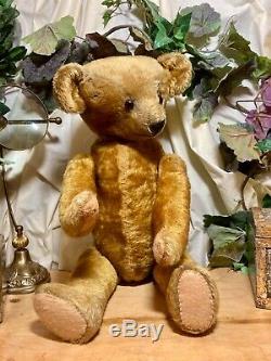 21 Large American, Pre-wwi 1912- 1914 Treasured Antique Ideal Teddy Bear