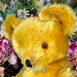 22 ANTIQUE 1930s KNICKERBOCKER TEDDY BEAR WITH BRIGHT GOLD MOHAIR