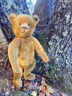 22 Early American Antique Ideal Teddy Bear Gorgeous Full Mohair, Outstanding