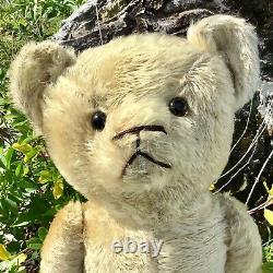 24 EARLY AMERICAN 1910s ELECTRIC EYE TEDDY BEAR BEIGE MOHAIR JOINTED ARMS