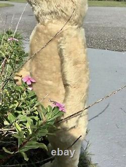 24 EARLY AMERICAN 1910s ELECTRIC EYE TEDDY BEAR BEIGE MOHAIR JOINTED ARMS