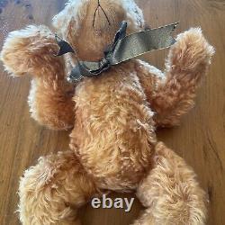 24 Mohair Artist Bear MARY ANN WILLS Handmade Teddy Bears with Expression Darby
