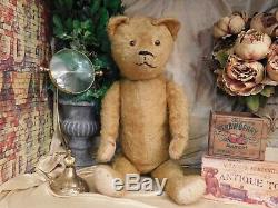 24 Pre-1910 Antique Early American Mohair Large Teddy Bear Big-muzzle Excelsior