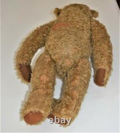 28 Large Antique 1930's Steiff Store Display Teddy Bear Toy Sound Box Growler