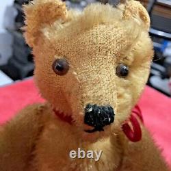 2 Vintage 1950's Glass Eyes Mohair Wood Straw Stuff Hump Back Teddy Bears Steiff