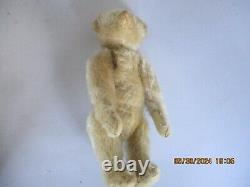 8 Antique Adorable White Mohair Steiff Teddy Bear