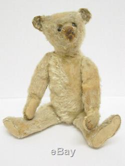 ANTIQUE GOLD MOHAIR 12 INCH STEIFF TEDDY BEAR With PERSONALITY CIRCA 1909