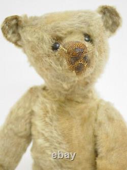 ANTIQUE GOLD MOHAIR 12 INCH STEIFF TEDDY BEAR With PERSONALITY CIRCA 1909