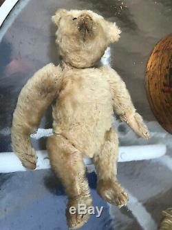 ANTIQUE WHITE MOHAIR 12 EARLY STEIFF TEDDY BEAR With PERSONALITY CIRCA 1905