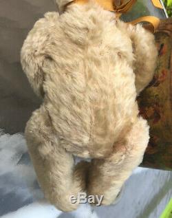 ANTIQUE WHITE MOHAIR 12 EARLY STEIFF TEDDY BEAR With PERSONALITY CIRCA 1905