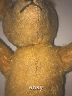 Adorable 1920s Antique Gold Mohair Teddy Bear From English Museum Jointed 12in