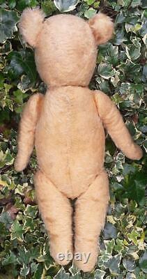 Adorable Large Vintage 1930s Golden Mohair Jointed Chiltern Teddy Bear 21