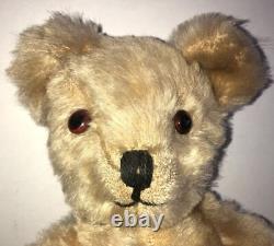American Baby Bear Circa 1910 Antique Mohair Teddy From English Museum In Bib
