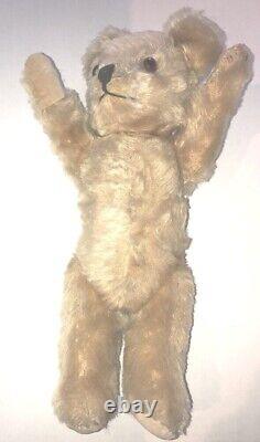 American Baby Bear Circa 1910 Antique Mohair Teddy From English Museum In Bib