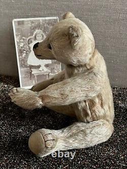 An antique German teddy bear from 1910 with a photo of the girl who owned him