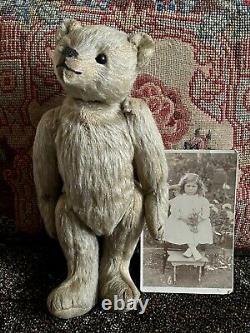 An antique German teddy bear from 1910 with a photo of the girl who owned him