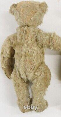 Antique 10 Steiff Fully Jointed German Mohair Teddy Bear With Shoebutton Eyes