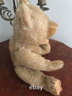 Antique 12 Teddy Bear Golden Mohair Straw Filled Jointed Victorian teddy edward