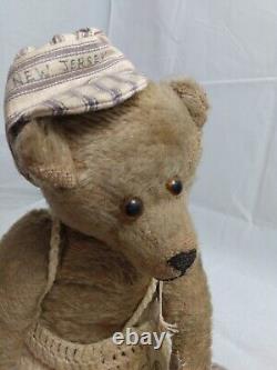 Antique 13 Teddy Bear Early Mohair Glass Eyes Pads Recovered New Jersey Cap