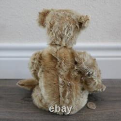 Antique 14 inch Steiff Jointed Teddy Bear Mohair C 1910 Pre War! Germany