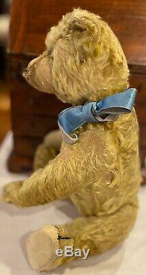 Antique 1906 12 German Early Mohair Fully Jointed Teddy Bear withShoe Button Eyes