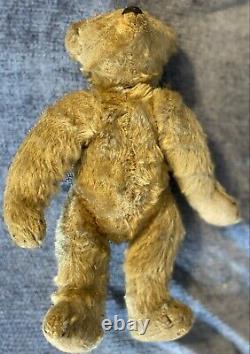 Antique 1907 12 Steiff Fully Jointed German Teddy Bear With Hump! Glass Eyes