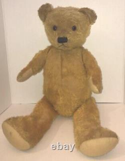 Antique 1930s Teddy Bear Family of 3 From English Museum incl. Prince of Wales