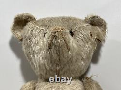 Antique 23 Jointed Mohair Teddy Bear With Glass Eyes