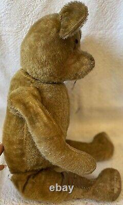Antique 24 Fully Jointed German Mohair Teddy Bear With Shoebutton Eyes