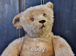 Antique American 1906 Remus 17 Excelsior Filled Mohair Teddy Bear
