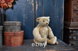 Antique American 1906 Remus 17 Excelsior Filled Mohair Teddy Bear