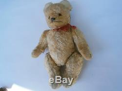 Antique Brown Gold Rare Mohair Huge Early Teddy Bear Hump Steiff Toy Glass Eyes